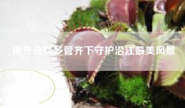 道外分局多管齐下守护沿江最美风景