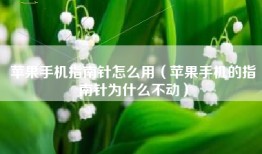 苹果手机指南针怎么用（苹果手机的指南针为什么不动）