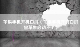 苹果手机开机白屏（苹果手机开机白屏黑苹果启动不了）