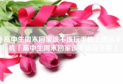 高中生周末回家该不该玩手机上课玩手机「高中生周末回家该不该玩手机」
