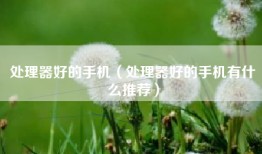 处理器好的手机（处理器好的手机有什么推荐）
