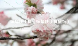 蝙蝠侠手机（蝙蝠侠手机壁纸）
