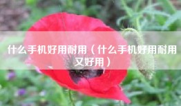 什么手机好用耐用（什么手机好用耐用又好用）