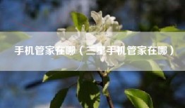 手机管家在哪（三星手机管家在哪）
