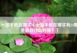 一加手机在哪买（一加手机在哪买有24期免息到什么时候？）