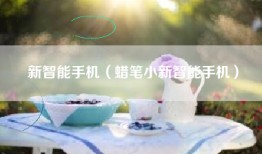 新智能手机（蜡笔小新智能手机）