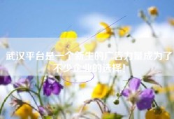 武汉平台是一个新生的广告力量成为了不少企业的选择！