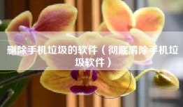 删除手机垃圾的软件（彻底清除手机垃圾软件）