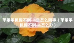 苹果手机搜不到wifi是怎么回事（苹果手机搜不到wifi怎么办）