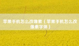 苹果手机怎么改像素（苹果手机怎么改像素字体）