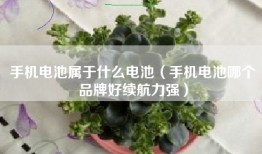 手机电池属于什么电池（手机电池哪个品牌好续航力强）