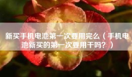 新买手机电池第一次要用完么（手机电池新买的第一次要用干吗？）