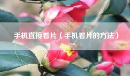 手机直接看片（手机看片的方法）