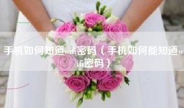 手机如何知道wifi密码（手机如何能知道wifi密码）