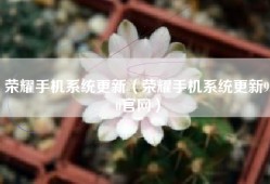 荣耀手机系统更新（荣耀手机系统更新9.0官网）