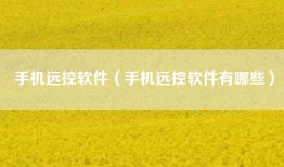 手机远控软件（手机远控软件有哪些）