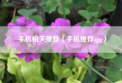 手机相关推荐（手机推荐app）