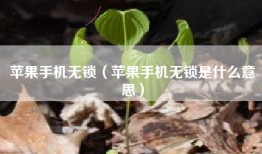 苹果手机无锁（苹果手机无锁是什么意思）