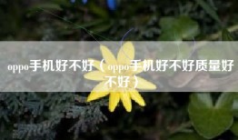 oppo手机好不好（oppo手机好不好质量好不好）