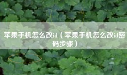 苹果手机怎么改id（苹果手机怎么改id密码步骤）