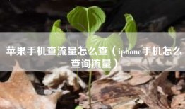 苹果手机查流量怎么查（iphone手机怎么查询流量）