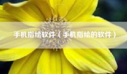 手机指绘软件（手机指绘的软件）