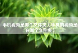 手机视频是哪个文件夹（手机的视频是在哪个文件夹）