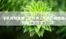 手机视频是哪个文件夹（手机的视频是在哪个文件夹）