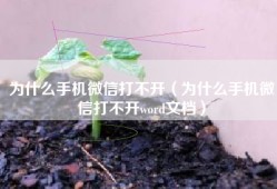 为什么手机微信打不开（为什么手机微信打不开word文档）