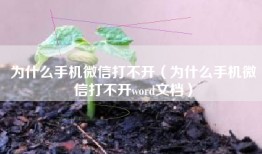 为什么手机微信打不开（为什么手机微信打不开word文档）
