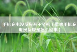 手机充电没反应开不了机（苹果手机充电没反应是怎么回事）