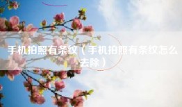 手机拍照有条纹（手机拍照有条纹怎么去除）