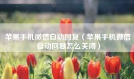 苹果手机微信自动回复（苹果手机微信自动回复怎么关闭）