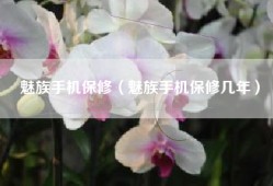 魅族手机保修（魅族手机保修几年）