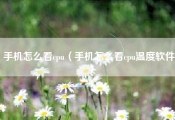手机怎么看cpu（手机怎么看cpu温度软件）