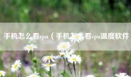手机怎么看cpu（手机怎么看cpu温度软件）