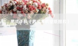 男式手机（男式手机壁纸图片）