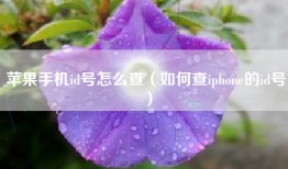 苹果手机id号怎么查（如何查iphone的id号）