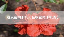 魅族官网手机（魅族官网手机壳）