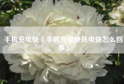 手机充电快（手机充电快耗电快怎么回事）