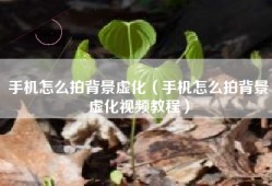 手机怎么拍背景虚化（手机怎么拍背景虚化视频教程）