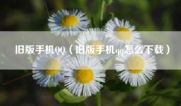 旧版手机QQ（旧版手机qq怎么下载）