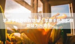 苹果手机怎么改地址（苹果手机怎么改地址为台湾）
