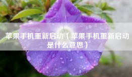 苹果手机重新启动（苹果手机重新启动是什么意思）