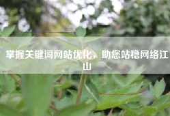 掌握关键词网站优化，助您站稳网络江山