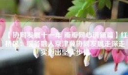 【协同发展十一年 瓣瓣同心谱新篇】红桥区：服务融入京津冀协同发展走深走实迈出坚实步伐