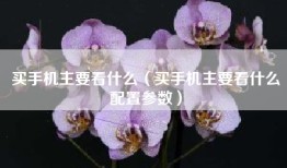 买手机主要看什么（买手机主要看什么配置参数）