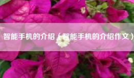 智能手机的介绍（智能手机的介绍作文）