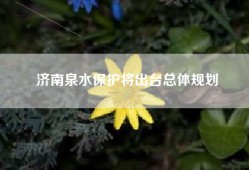 济南泉水保护将出台总体规划