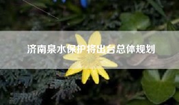 济南泉水保护将出台总体规划
